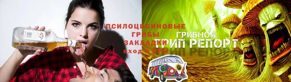 СК Аркадак