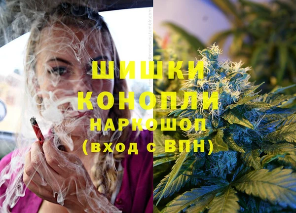 СК Аркадак
