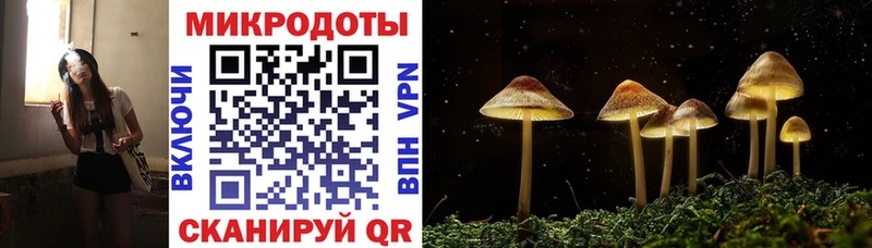 Галлюциногенные грибы Psilocybine cubensis Коломна