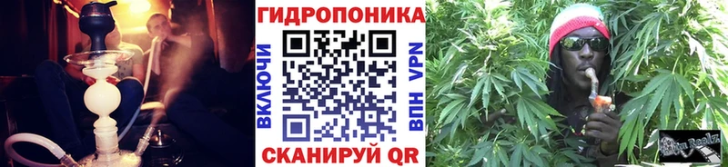 дарнет шоп  Коломна  Шишки марихуана OG Kush 